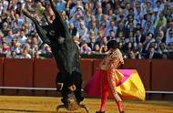 西班牙斗牛士——真正的勇士敢于直面惨淡的人生