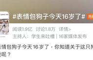 2岁被遗弃险遭安乐死！“表情包顶流”16岁了：愿你一直幸福下去