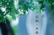 湘韵驿站 | 诗友风采第103期刊（词部）