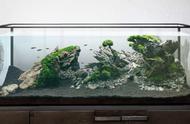 《模拟水族造景》上架Steam 设计制作专属精美水族箱