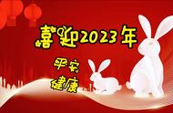 一花一喜庆，金虎辞旧2022年，玉兔迎新2023年，愿新年如花皆美好