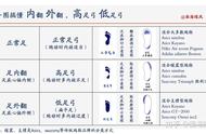 2023【新手跑鞋购买指南】支撑?稳定? 一图看懂新手该如何买慢跑鞋