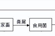 2022年广东省初中生学业质量监测联考第一轮（一模）生物试题试卷