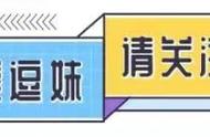 逗妹吐槽：弗里克留任，那德国队是备战下届世界杯最早的队伍？