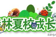 森林夏校成长5日营，一起“趣”探森林动物城