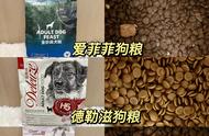 紧急大曝光：狗粮这样选，成功拯救挑食狗狗