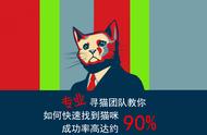 猫丢了如何快速找回，找猫最有效的方法，宠物寻找公司靠谱吗？