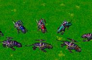 魔兽争霸3：暗夜精灵4个本族英雄，与双BR女猎手搭配用法一览