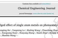 金属单原子对光催化反应的双刃效应