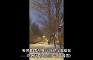 2023.11.8 哈尔滨 大雪