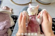 今天是我喵的保养时间#猫咪