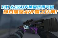 为什么CSGO大神都喜欢用鸟狙，却对隔壁AWP嗤之以鼻？