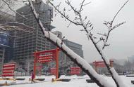 秦岭小坝沟赏雪看冰瀑攻略（亲身经历，还有点冒险故事）