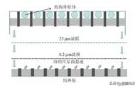 “不可培养”微生物的海绵-细菌共培养装置，它们是如何工作的？