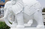 大鹏石业说石雕大象可以放在哪些地方，比如园林或室内区域？