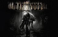 沉浸式单机游戏推荐- 阴暗森林（Darkwood）