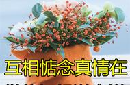 11月23日最新早安动态精美图片 冬天清晨早上好问候朋友暖心句子