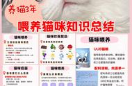 新手养猫必看帖/养猫攻略