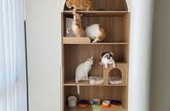 猫咪的家～猫屋分享