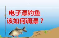 电子漂钓鱼如何调漂？步骤、原理一次看懂，鱼口再轻照样上鱼