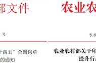 全民养牛打造生态共享科技养殖牧场 实现互联网 产业集群化发展