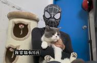 奉劝大家别冲动养小猫，一起云吸猫，云撸猫就好了#记录猫...