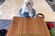 五子棋最强开局26式(第二式)丘月开局#五子棋最强阵法