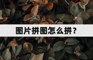 图片拼图怎么拼？教你几个简单实用的拼图方法