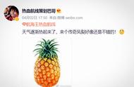 热血航线：周年庆新角色，小马哥 新的艾斯？