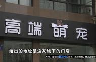 换名字反复上1818黄金眼？它又改名了？！