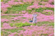 在花海包围的公园野餐！踏青绿野仙境，宝藏亲子庄园，都在成都市