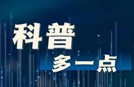 吃米和吃面，哪个更容易发胖？看完明白了……