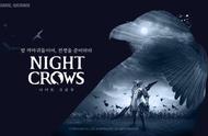 夜鸦Night Crow韩服报错/错误代码/黑屏/进不去游戏怎么办？