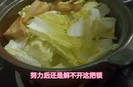 做个白菜豆腐煲，全家都喜欢，暖暖的很贴心#每日美食分享