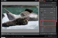 Lightroom Classic 教程，如何在 Lightroom 中调整高光和阴影？