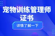 宠物训练管理师是干啥的？证书怎么考取？好考吗？报考条件有哪些