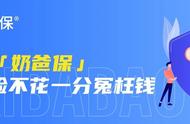 百岁人生、乐养多年金险和映山红2.0，最后一次全面解读