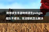 绝地求生手游地铁逃生pubgm组队不成功，无法联机怎么解决