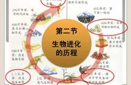 生物进化论的重大疑点