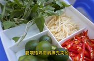 越南街头乌鸡易拉罐汤，吃了没烦恼#抖音美食推荐官