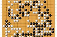 围棋网课：实战高级死活解析(初凡3段)