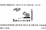 2023全国名校模考作文（165）鸡的脚印与天上的雄鹰