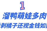 多肉小盆友：2岁萌娃靠“遛鸭”走红网络，吸粉300万，有何魅力？