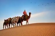 五一带孩子去沙漠撒欢儿，滑沙、骑骆驼、数星星~