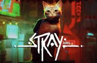 号称伟大的“猫”片！迷失的小橘猫来了，AMD平台暴走Stray