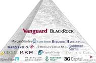 两家公司Vanguard和BlackRock控制着地球上大部分重要公司？