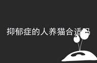 抑郁症患者需要猫猫狗狗的4个原因？