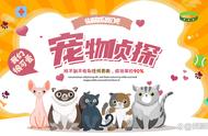 寻宠公司，宠物侦探，怎么找猫，寻宠团队教你寻找猫的四大策略