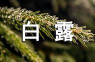 白露祝福语