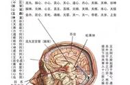 命門与玄关一窍